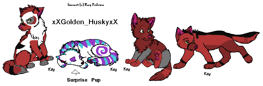 xXGolden_HuskyxX.PNG
