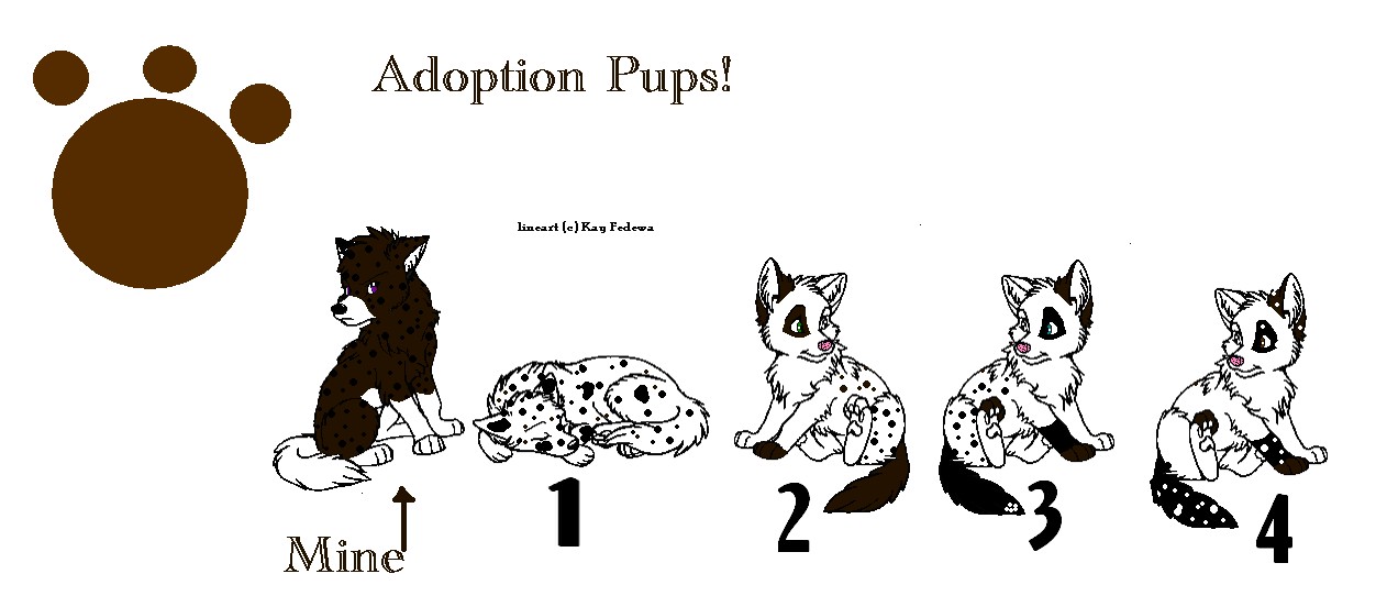 Adoption pups.jpg