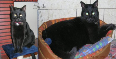 sushi.JPG