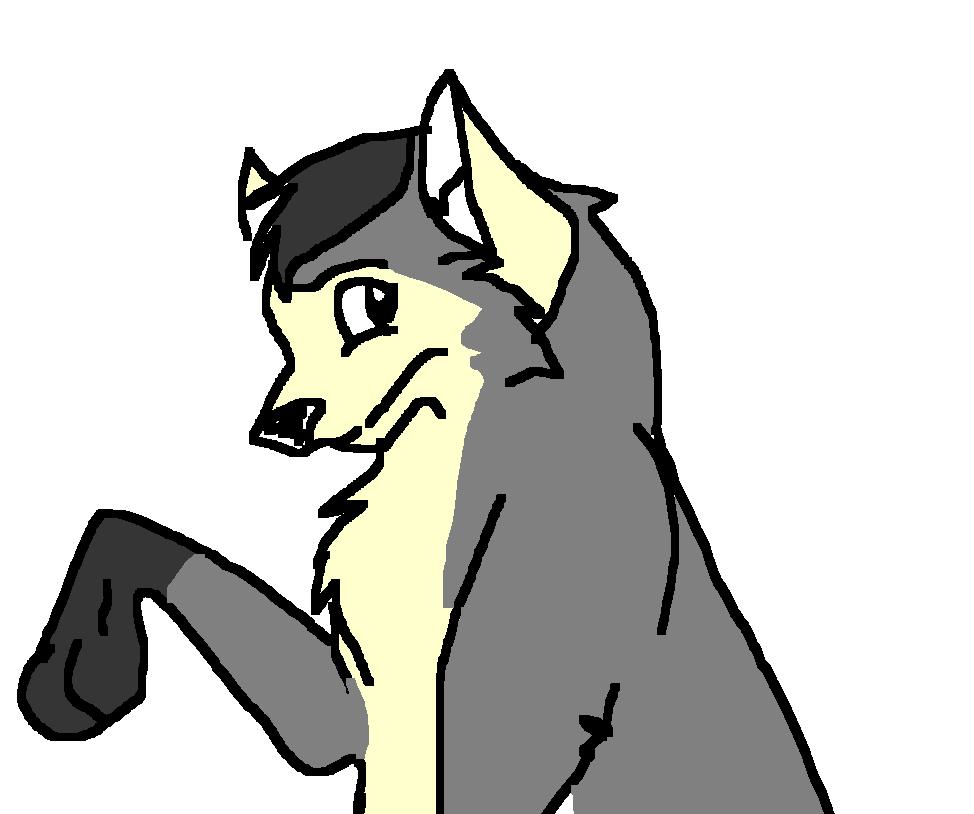 OneOfMyMostStupidPictures.JPG