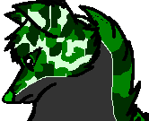 camo av.PNG