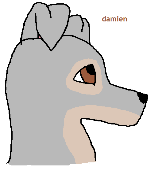Damien.png