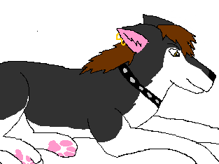 Zachary1.png