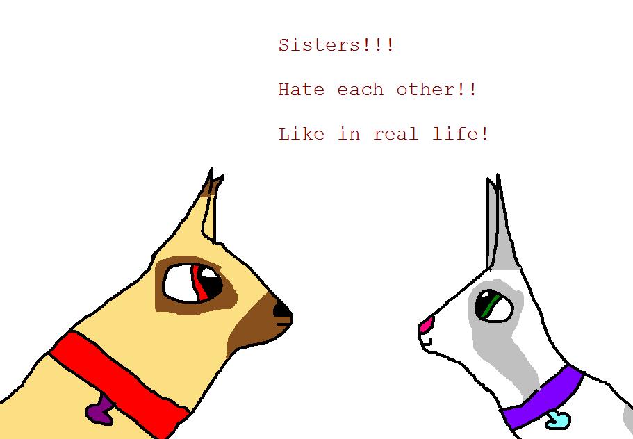 dogies.JPG