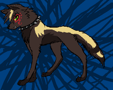chhe.PNG