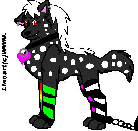 kiko4.PNG