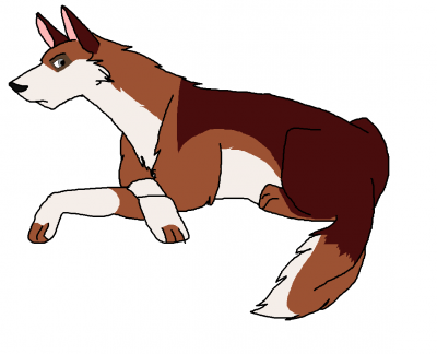 sss.png