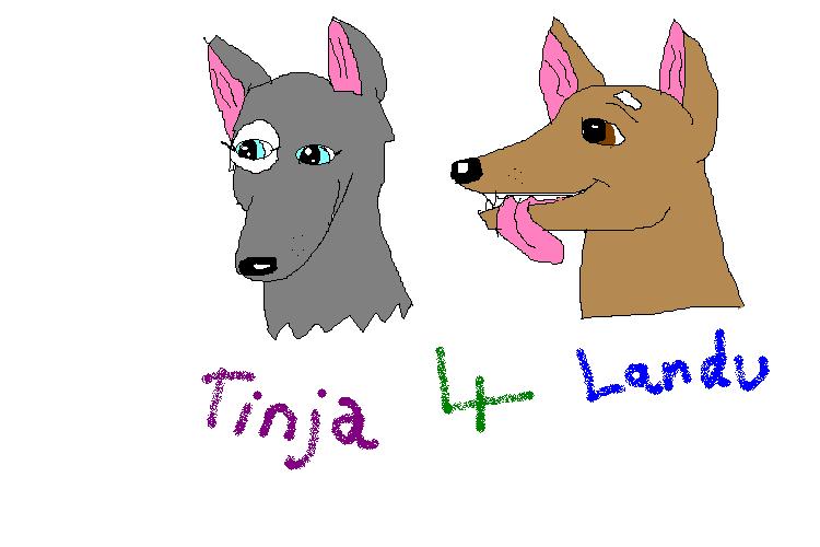 tinja.JPG