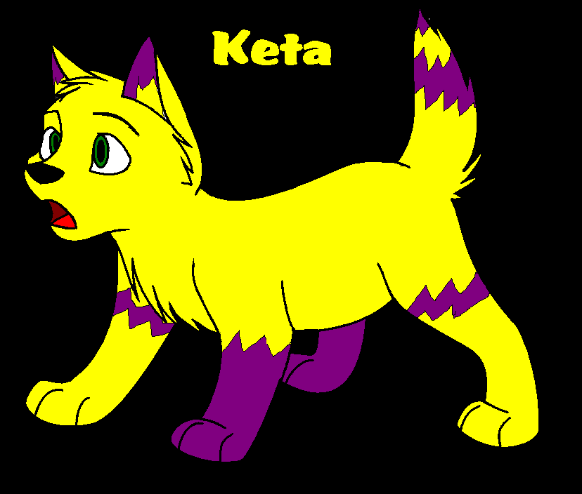 keta.PNG