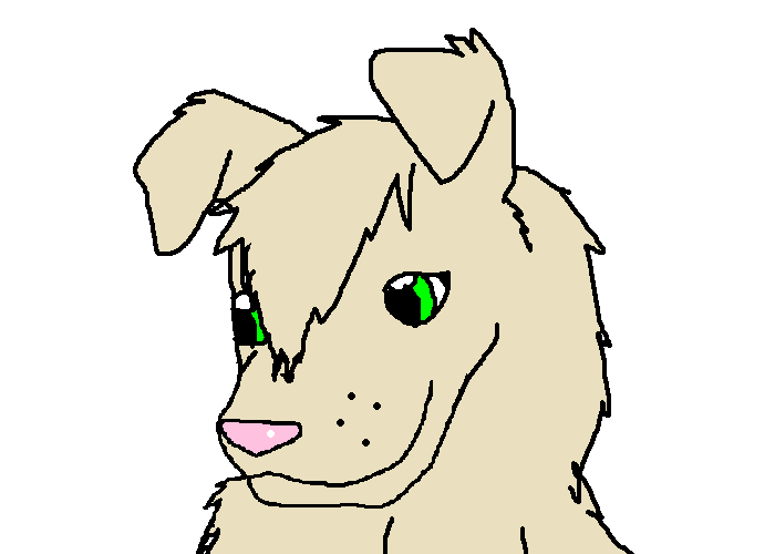 jin.PNG
