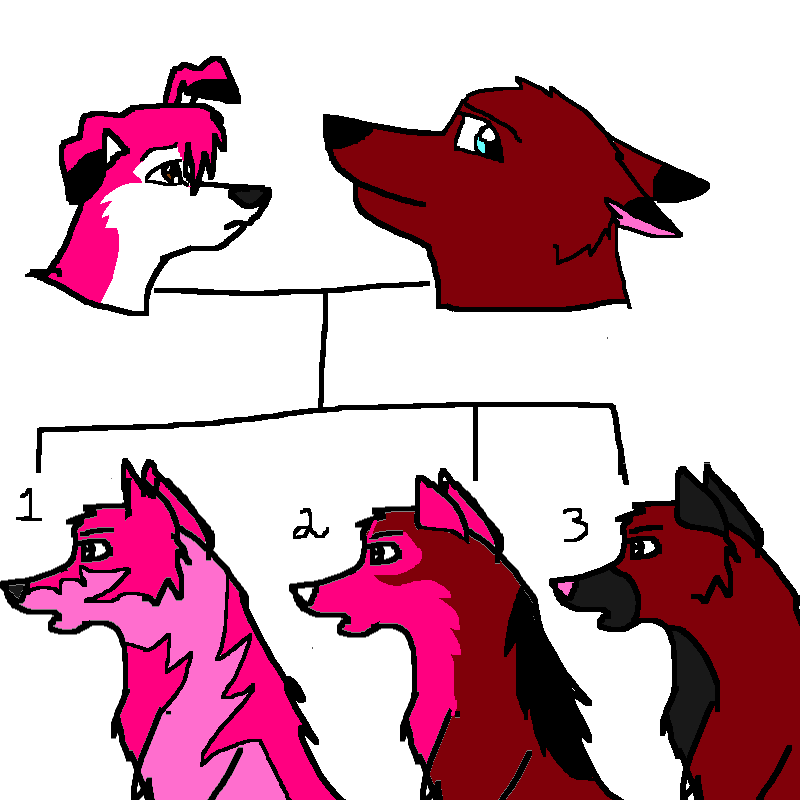 firstlitterpups.png