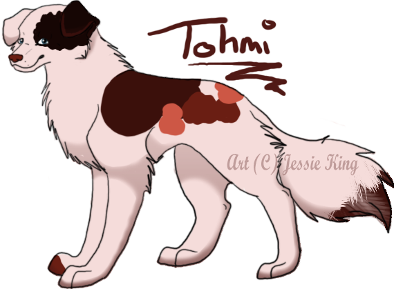 Tohmi.png