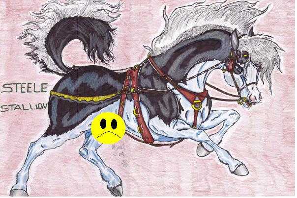 steelestallionsmallversion2.jpg