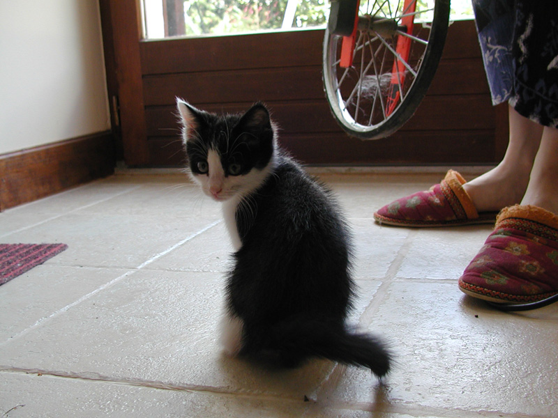 P7100015.jpg