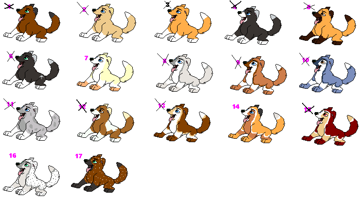 1.PNG