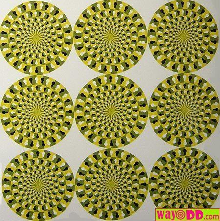 funny-pictures-insane-illusion-VCg.jpg