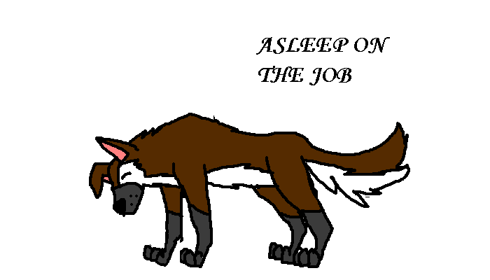 FRAN.PNG