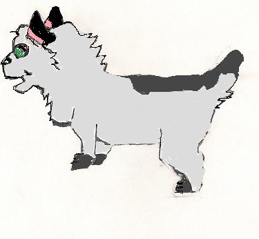 scan0001.jpg