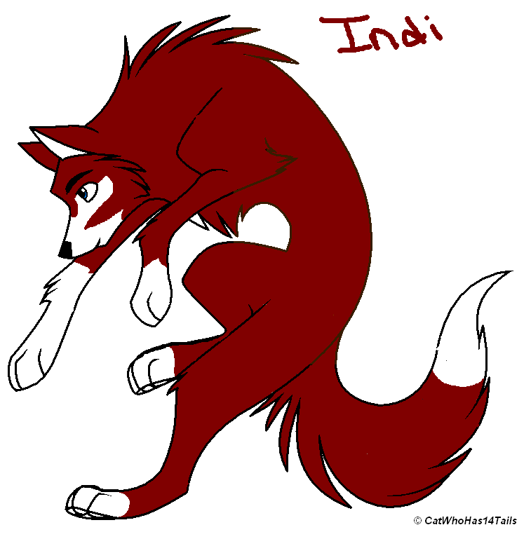 Indi.PNG