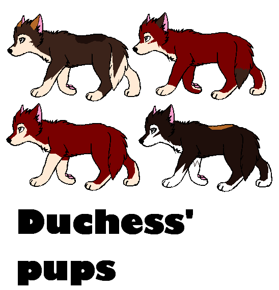 Duchess' pups.PNG