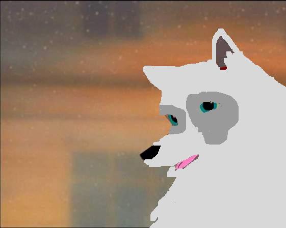 kolton99_10f.jpg