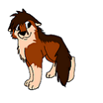 wolfoxtintin.png