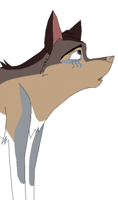 Katara.PNG