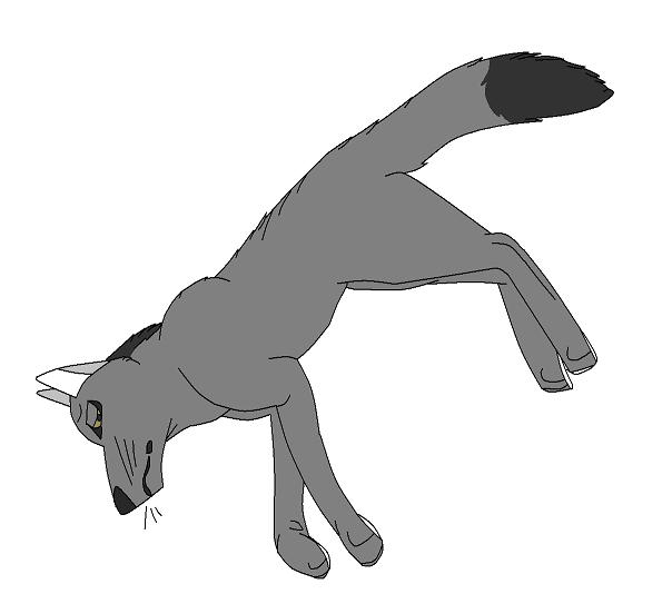 Lyall resized.PNG