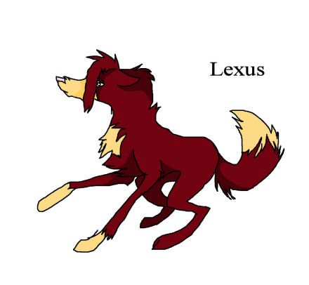 Lexus.jpg