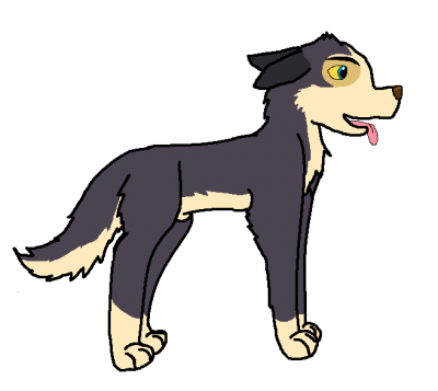 afct.PNG