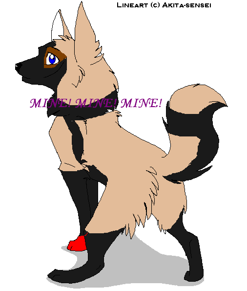 dog.png