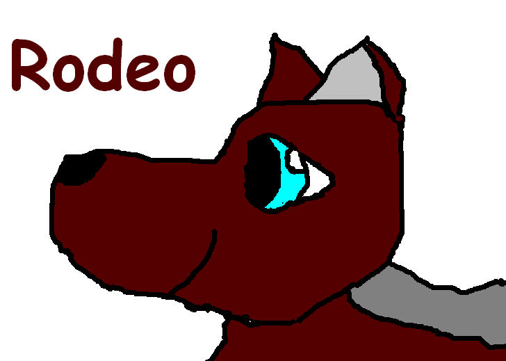 rodeo.PNG