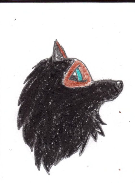 Image1.jpg