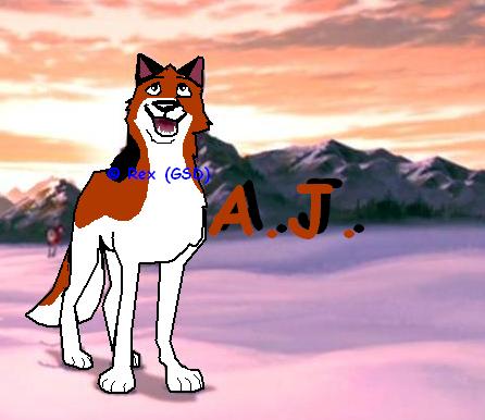 aj_body.JPG