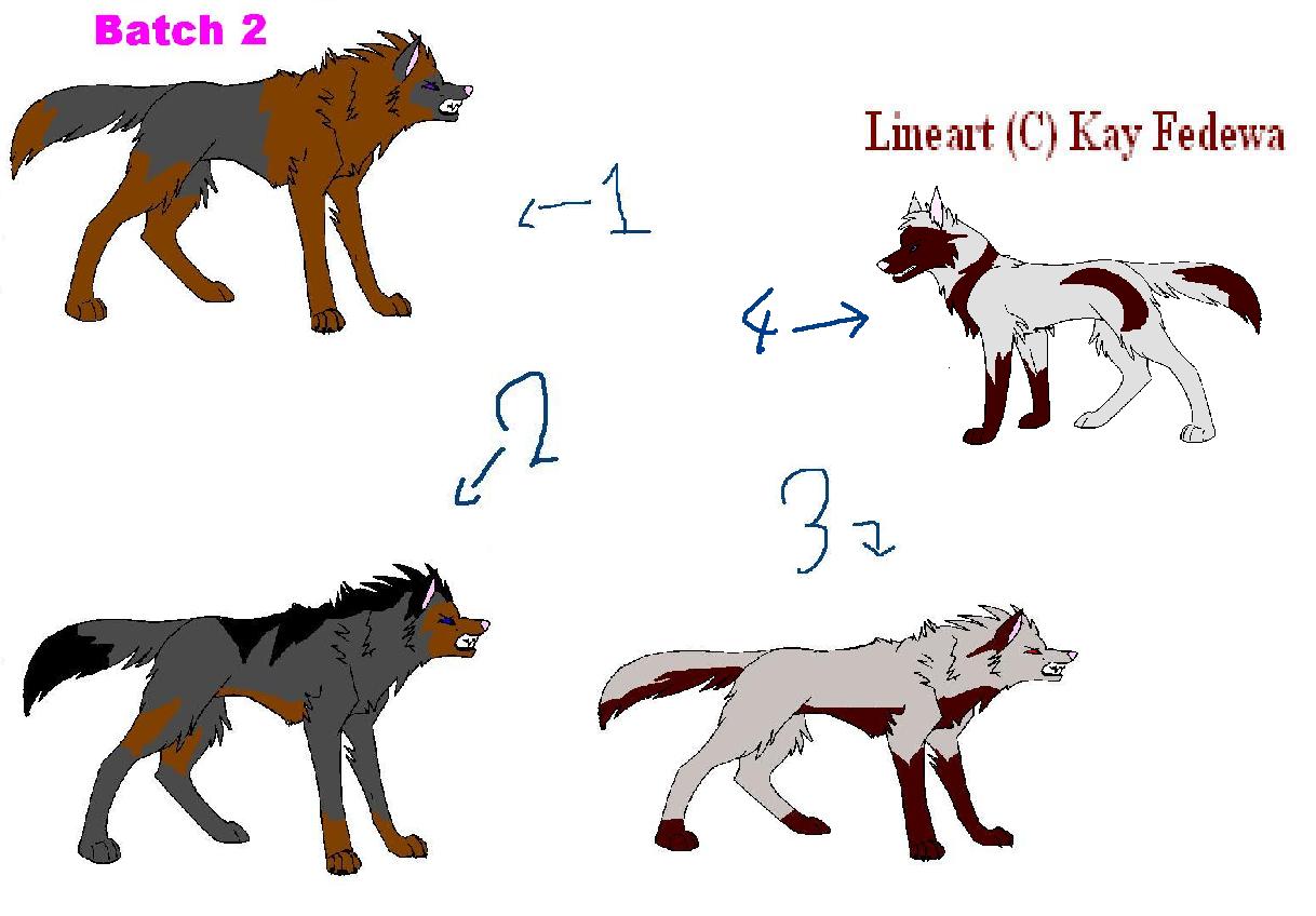 My Contest IV.JPG