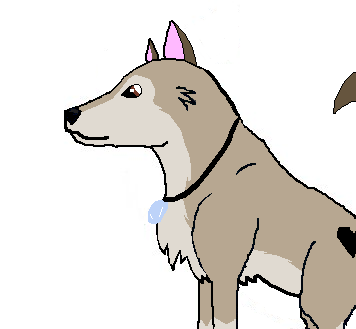 Wolfie22345.PNG