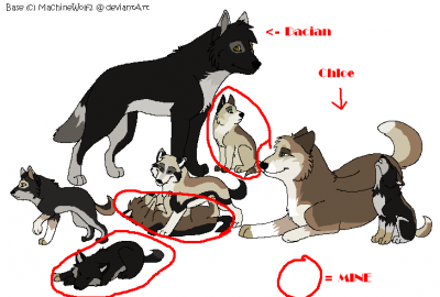 FAMILY.PNG