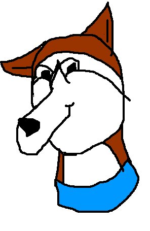 Dana The Husky.jpg