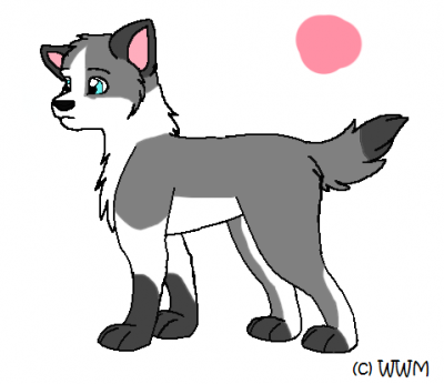 pupp1.png
