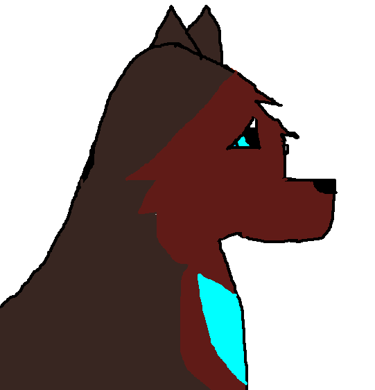 chdc vbjdgvhm.png