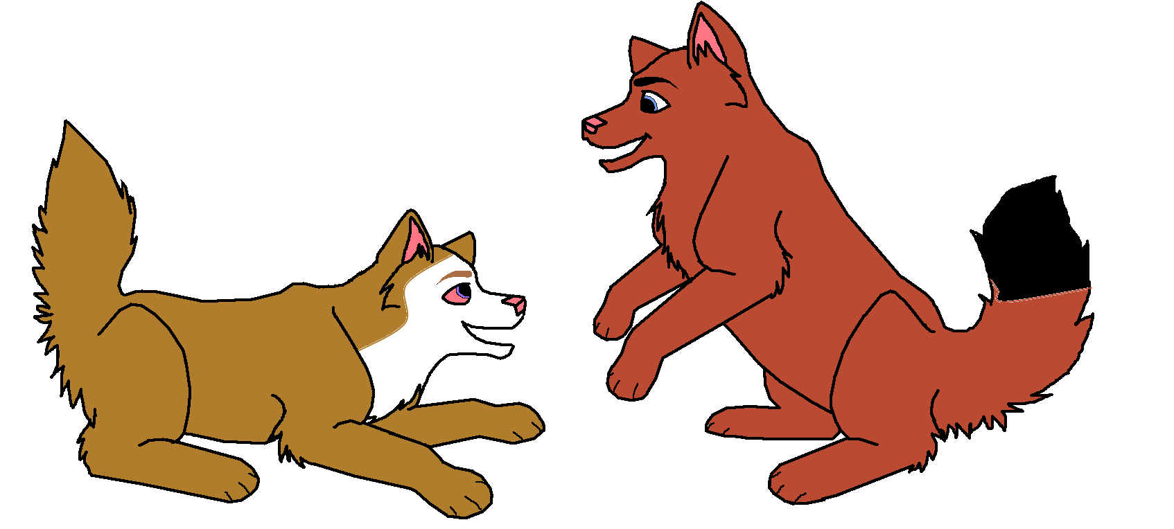 Devin and Black Tip.png