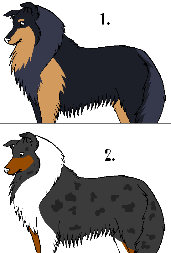 Puppy Batch #7.PNG