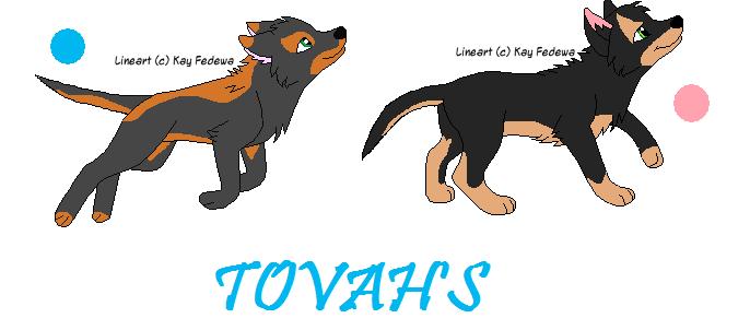 tovahs.jpg