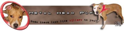 metalheadpupsiggy01.png
