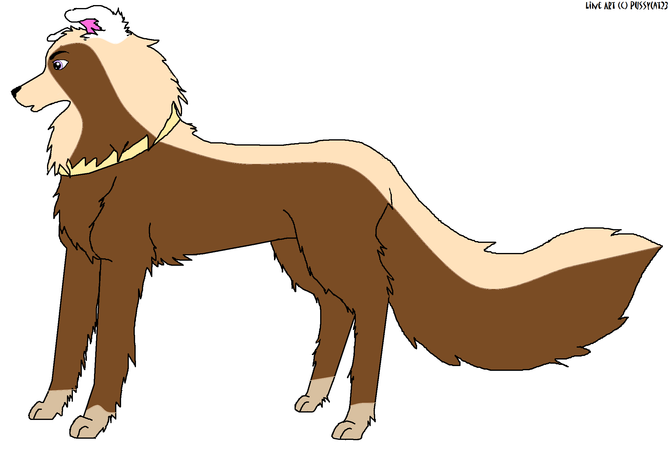 Paddy.png