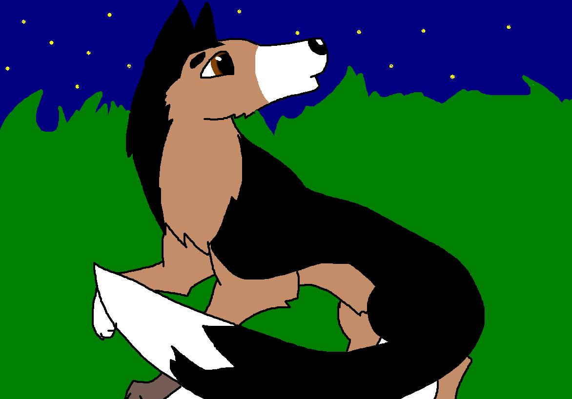 german sheperd.JPG