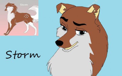 Storm is up 4 adoption!.jpg