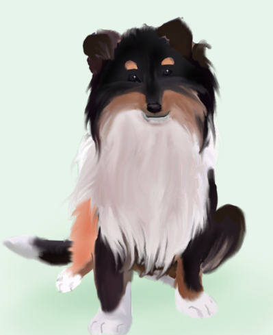 collie3.png