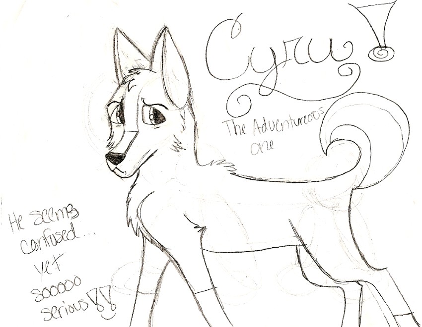 Cycy.jpg