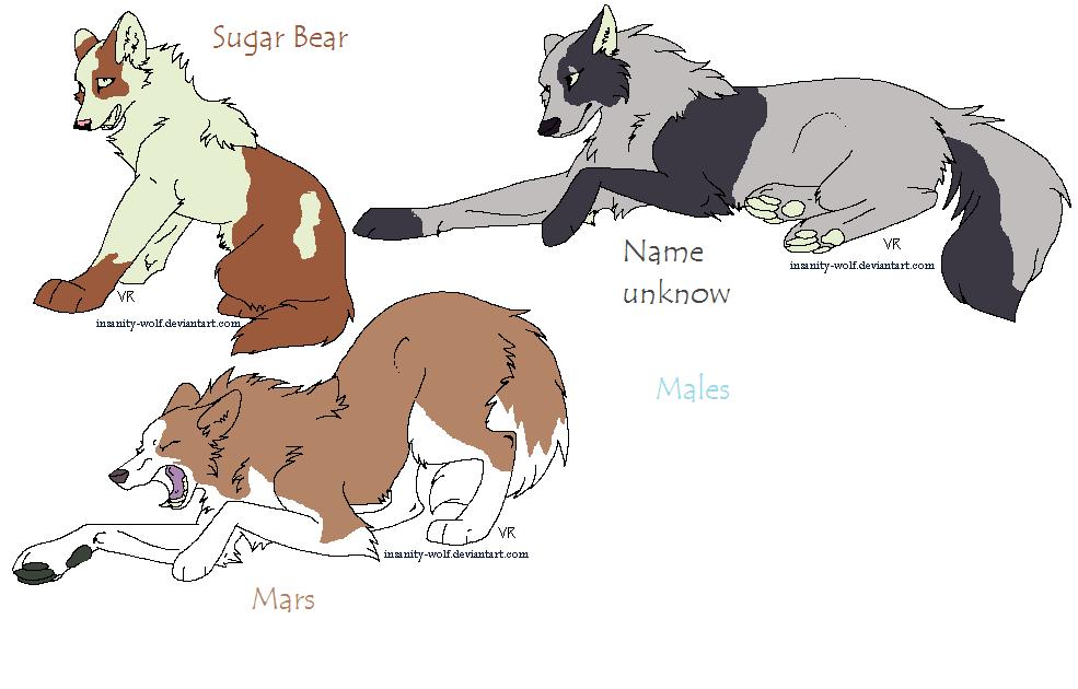 adopt.jpg